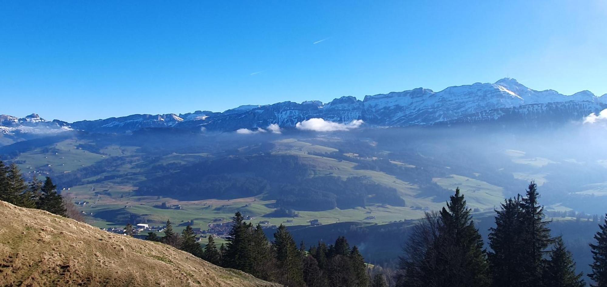 2-4 Zimmer Apartments Stilvoll Im Gertrud Schloessli - Zentral Ruhig St. Gallen Esterno foto
