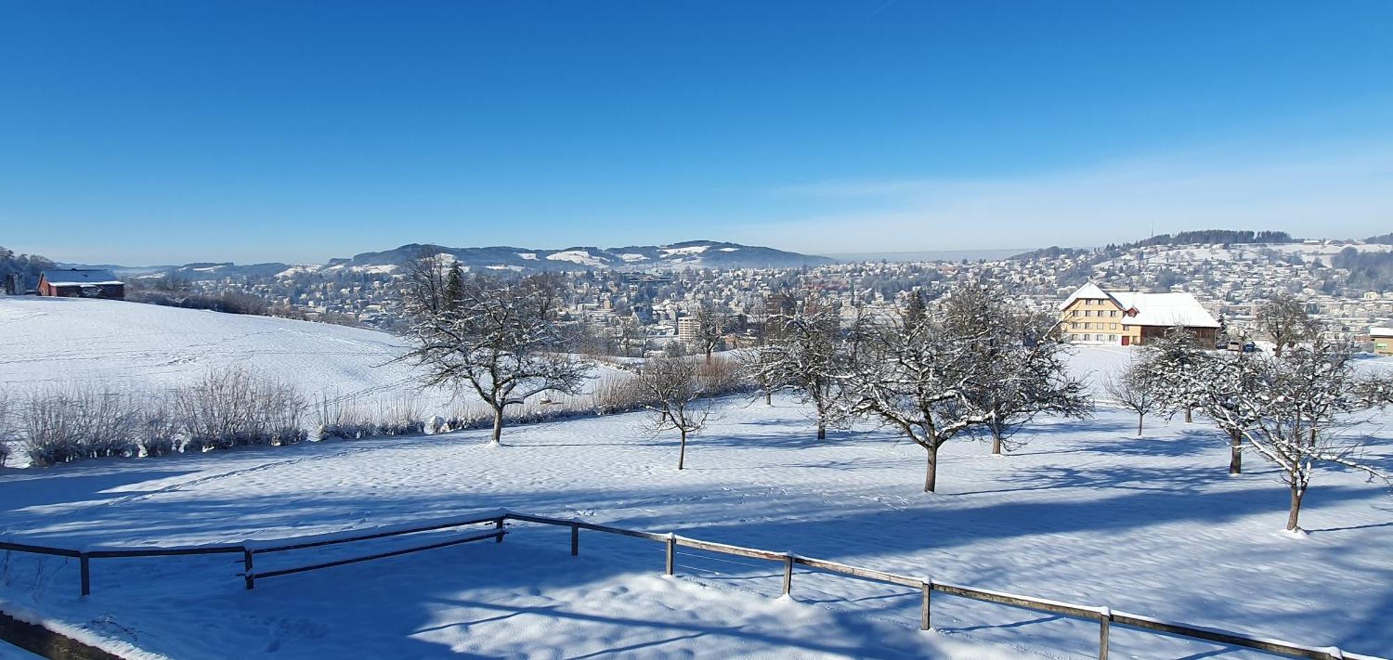 2-4 Zimmer Apartments Stilvoll Im Gertrud Schloessli - Zentral Ruhig St. Gallen Esterno foto