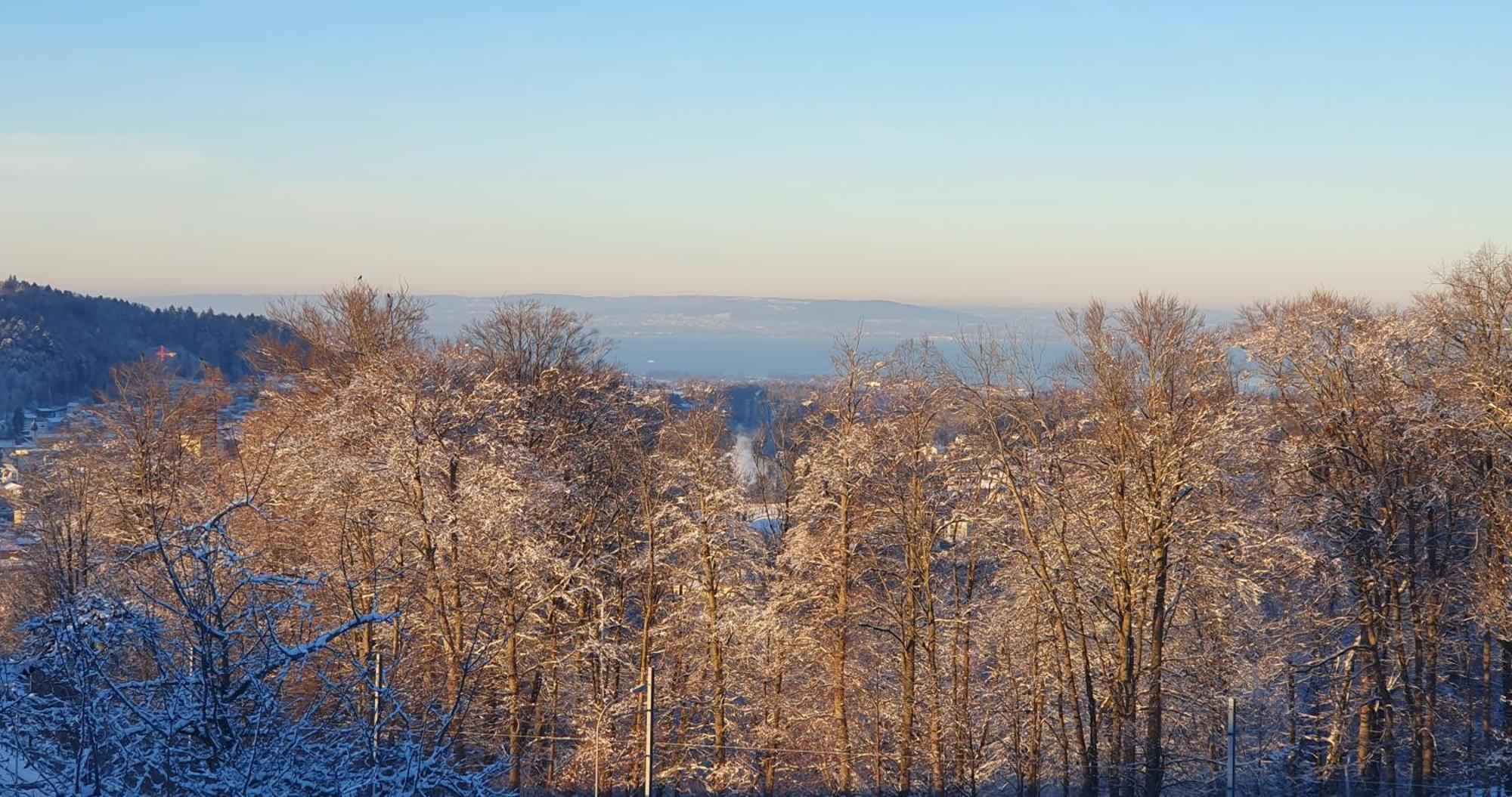2-4 Zimmer Apartments Stilvoll Im Gertrud Schloessli - Zentral Ruhig St. Gallen Esterno foto