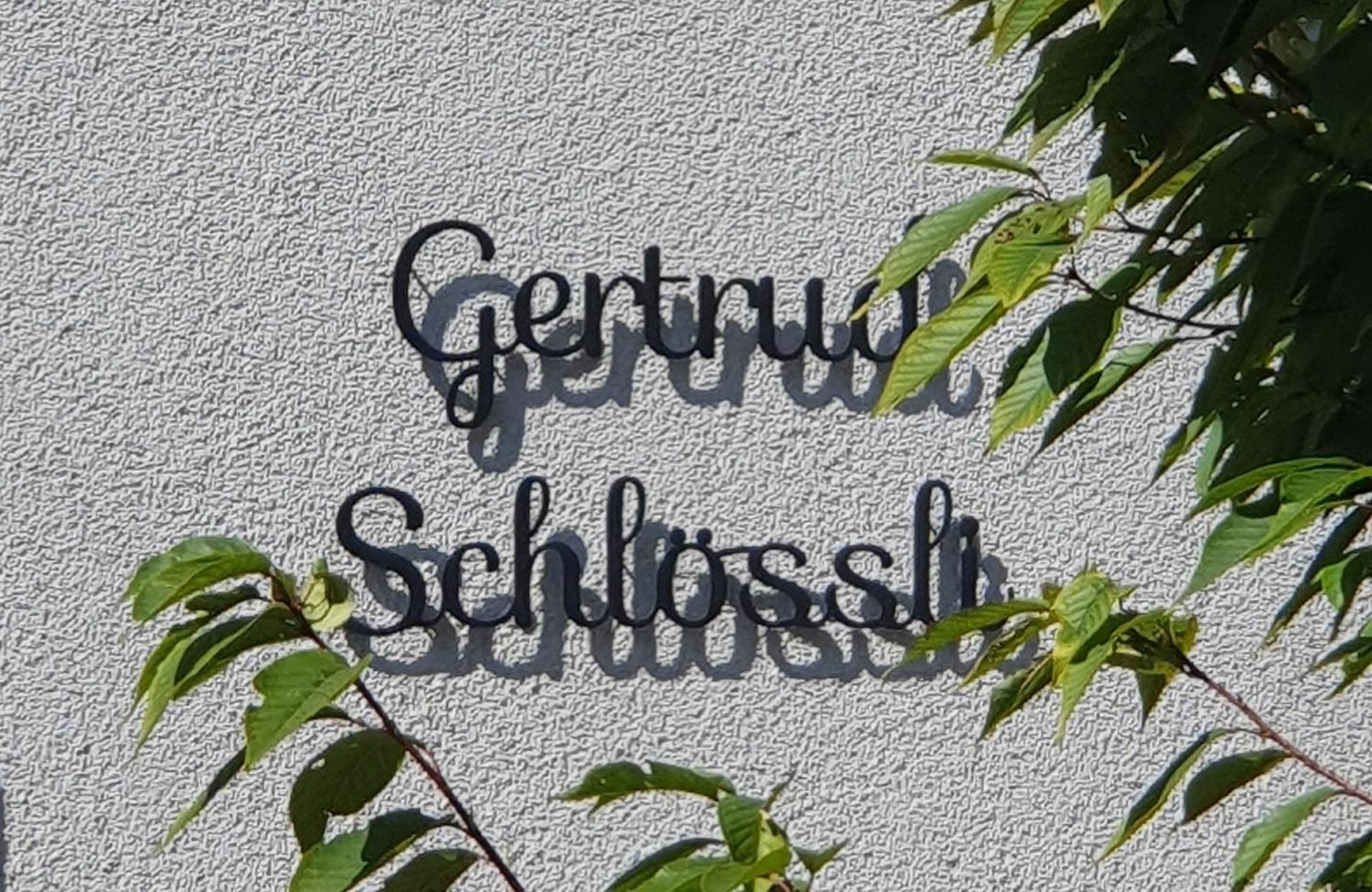 2-4 Zimmer Apartments Stilvoll Im Gertrud Schloessli - Zentral Ruhig St. Gallen Esterno foto
