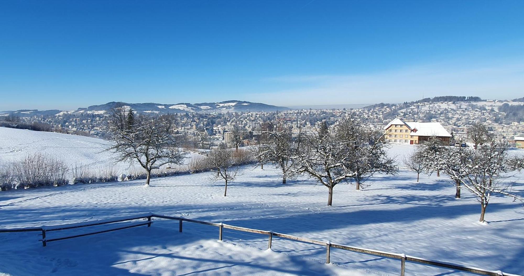 2-4 Zimmer Apartments Stilvoll Im Gertrud Schloessli - Zentral Ruhig St. Gallen Esterno foto