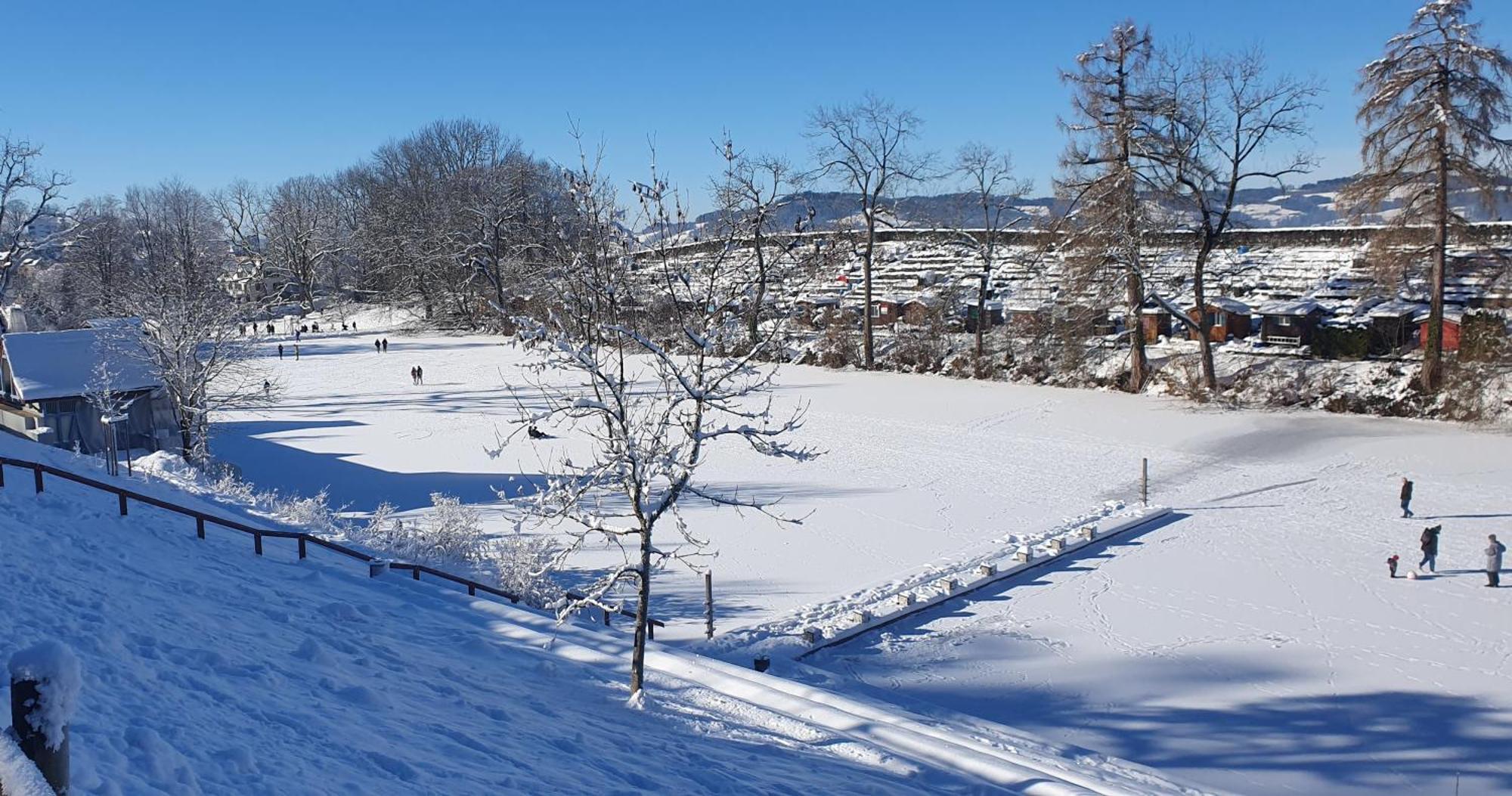 2-4 Zimmer Apartments Stilvoll Im Gertrud Schloessli - Zentral Ruhig St. Gallen Esterno foto